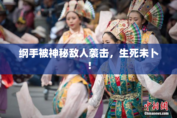 纲手被神秘敌人袭击，生死未卜！