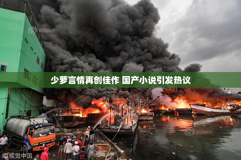 少萝言情再创佳作 国产小说引发热议