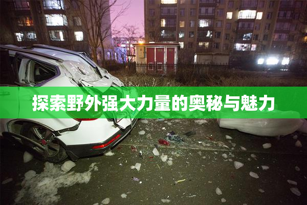 探索野外强大力量的奥秘与魅力