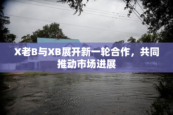 X老B与XB展开新一轮合作，共同推动市场进展
