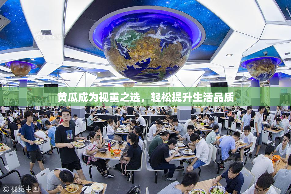 黄瓜成为视重之选，轻松提升生活品质