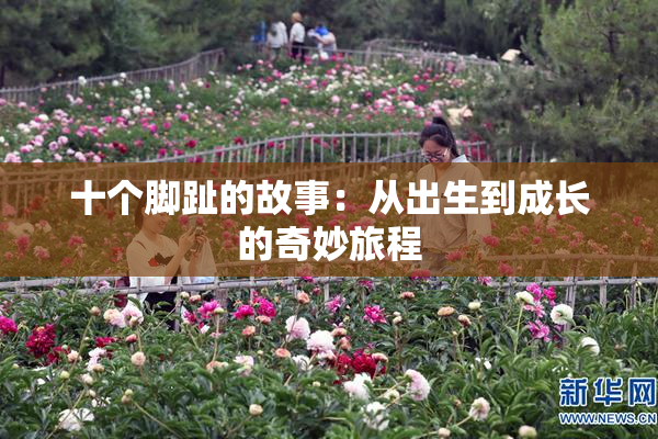 十个脚趾的故事：从出生到成长的奇妙旅程