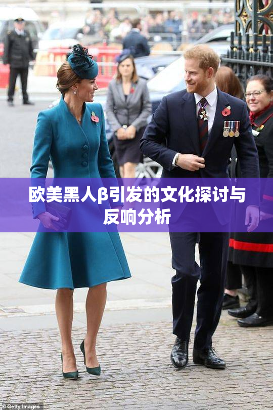 欧美黑人β引发的文化探讨与反响分析