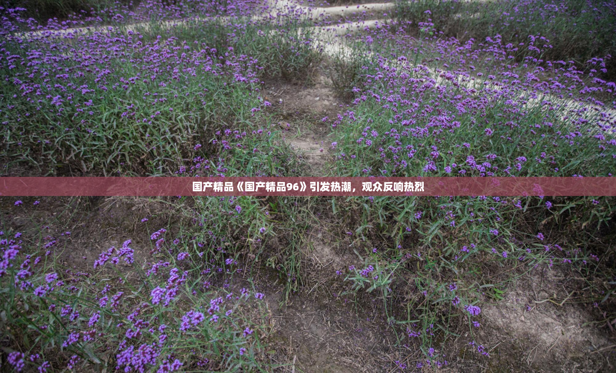 国产精品《国产精品96》引发热潮，观众反响热烈