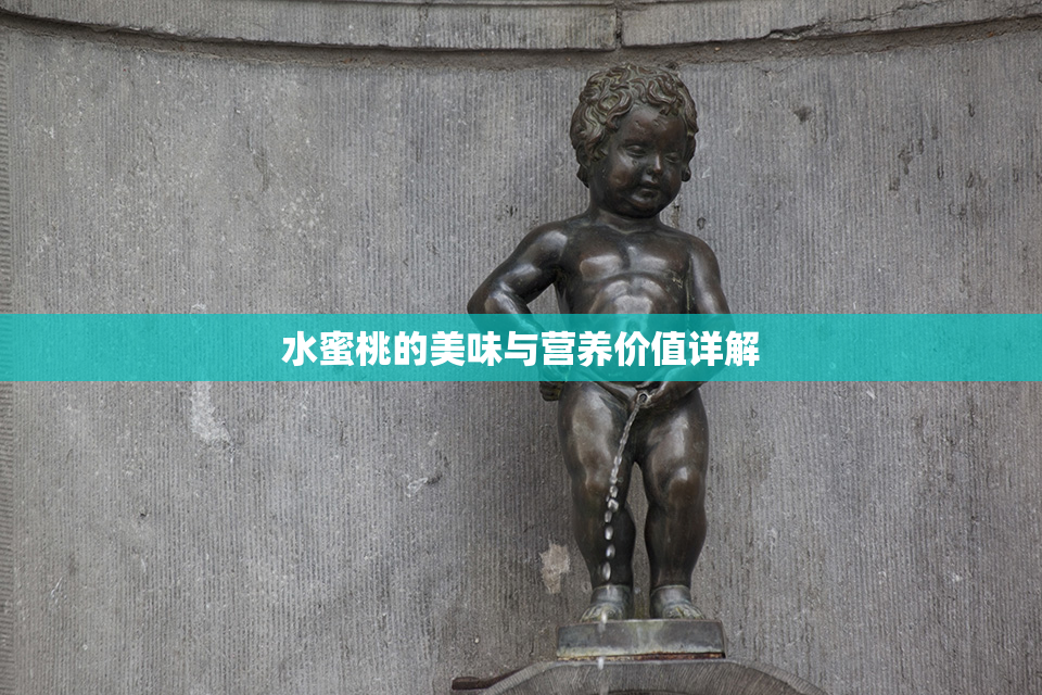 水蜜桃的美味与营养价值详解