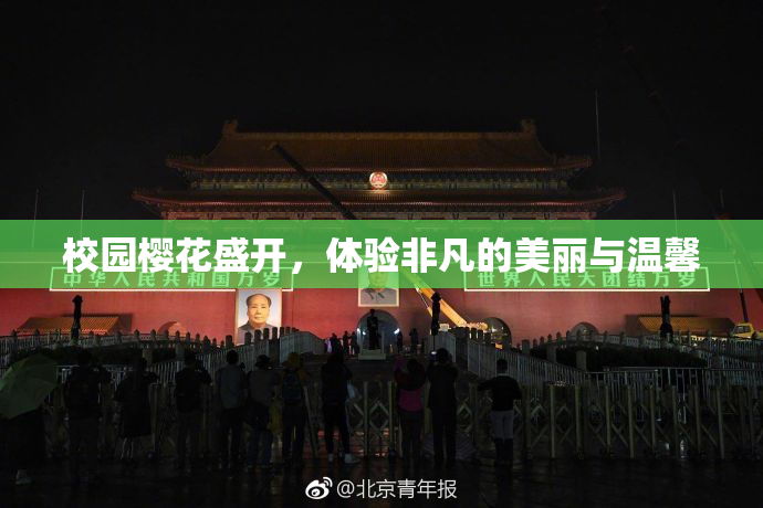 校园樱花盛开，体验非凡的美丽与温馨