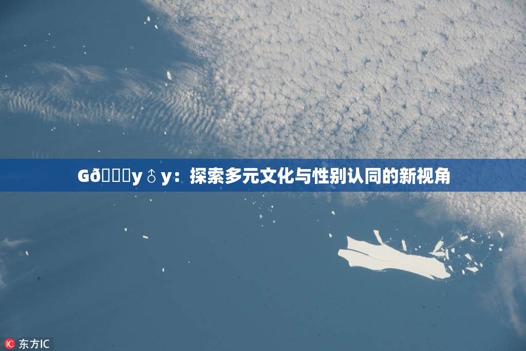 G🈚y♂y：探索多元文化与性别认同的新视角