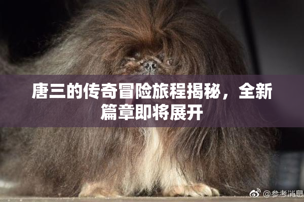 唐三的传奇冒险旅程揭秘，全新篇章即将展开