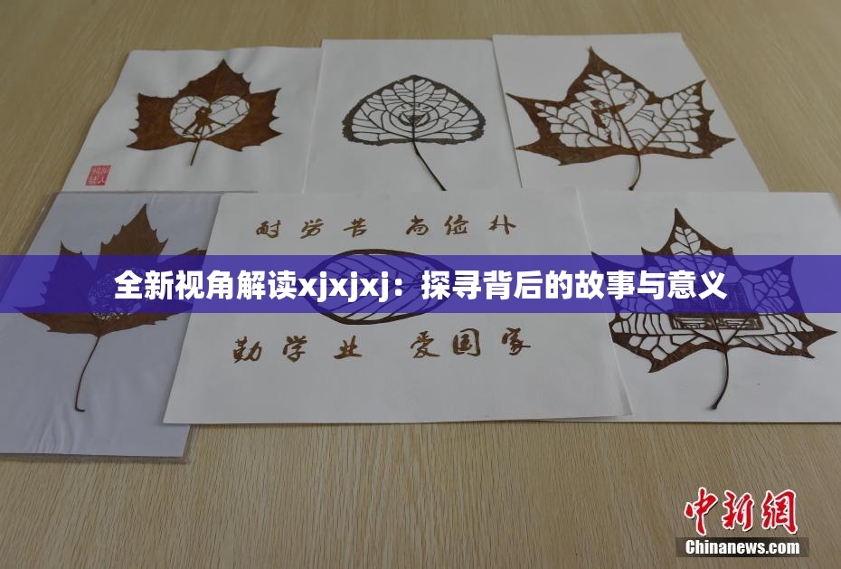 全新视角解读xjxjxj：探寻背后的故事与意义