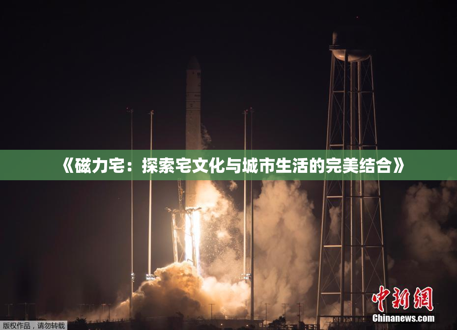 《磁力宅：探索宅文化与城市生活的完美结合》