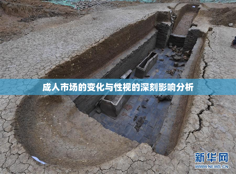 成人市场的变化与性视的深刻影响分析