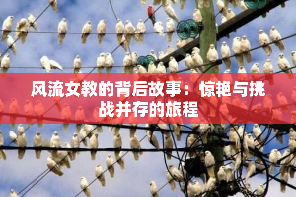 风流女教的背后故事：惊艳与挑战并存的旅程