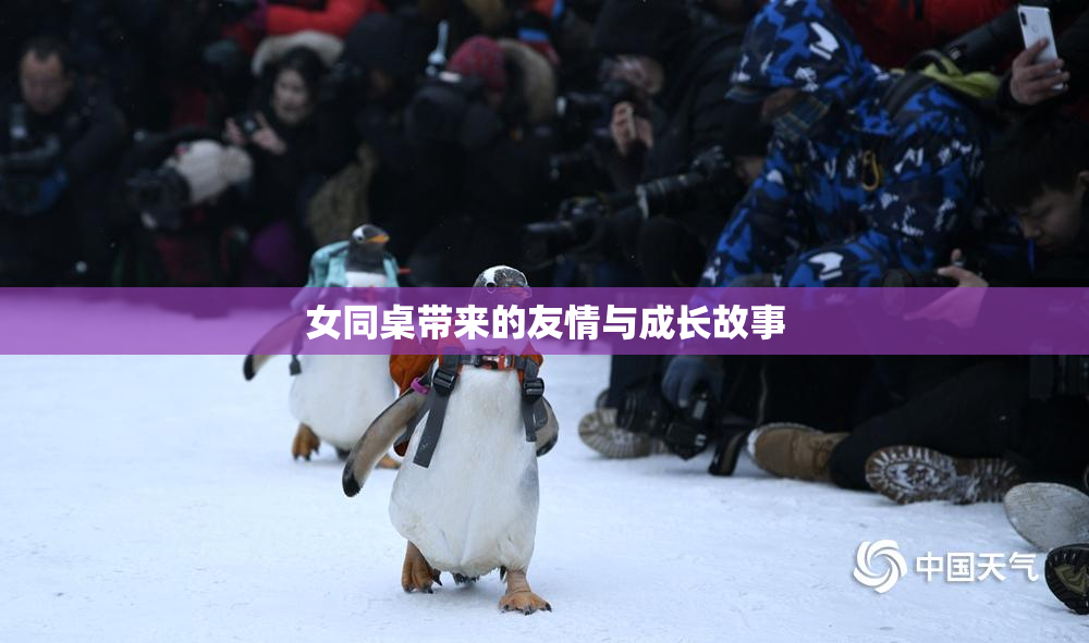 女同桌带来的友情与成长故事