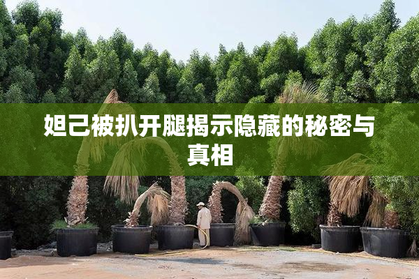 妲己被扒开腿揭示隐藏的秘密与真相