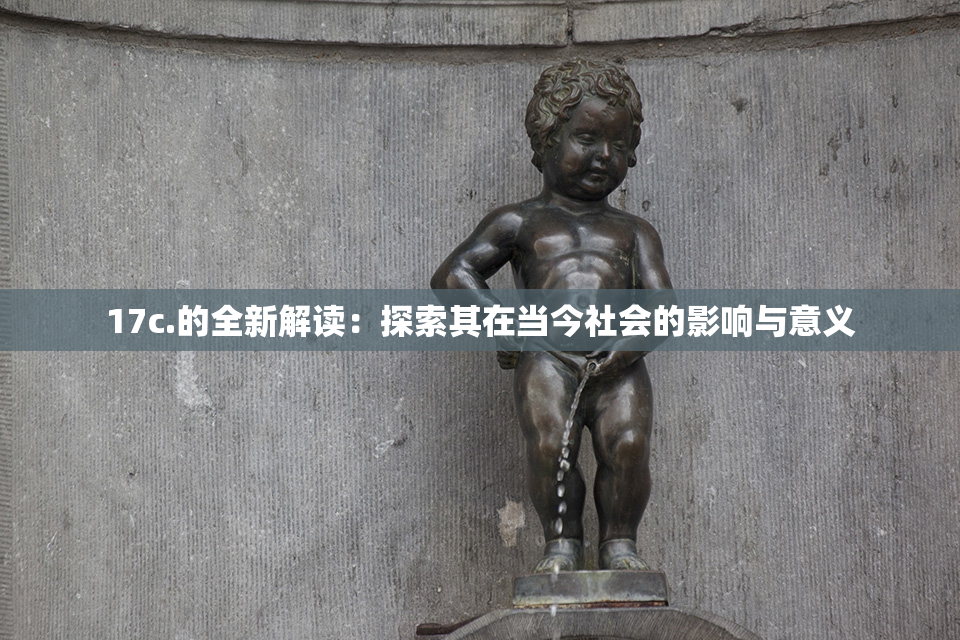 17c.的全新解读：探索其在当今社会的影响与意义