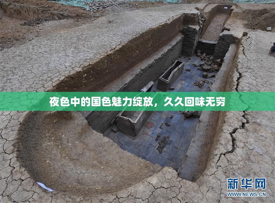 夜色中的国色魅力绽放，久久回味无穷