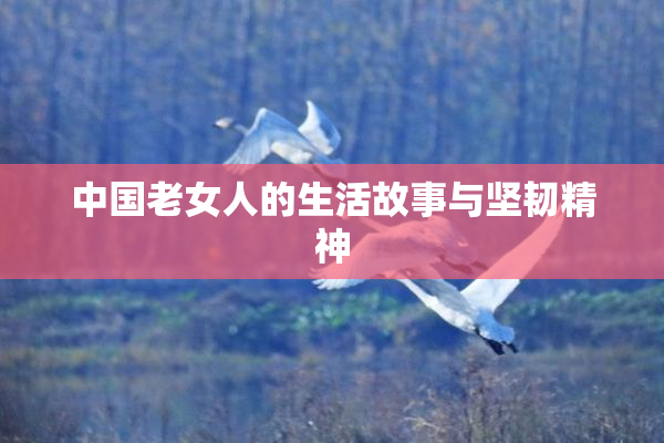 中国老女人的生活故事与坚韧精神