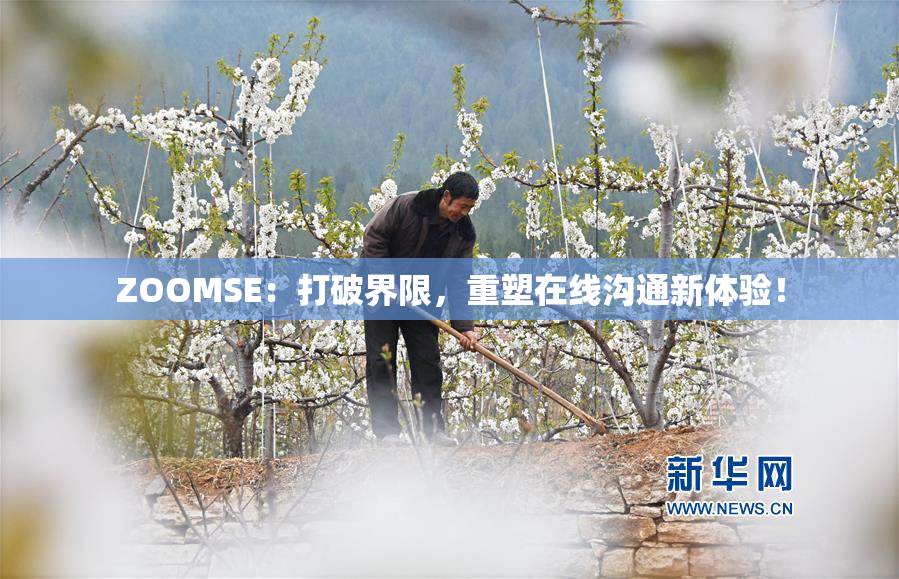 ZOOMSE：打破界限，重塑在线沟通新体验！