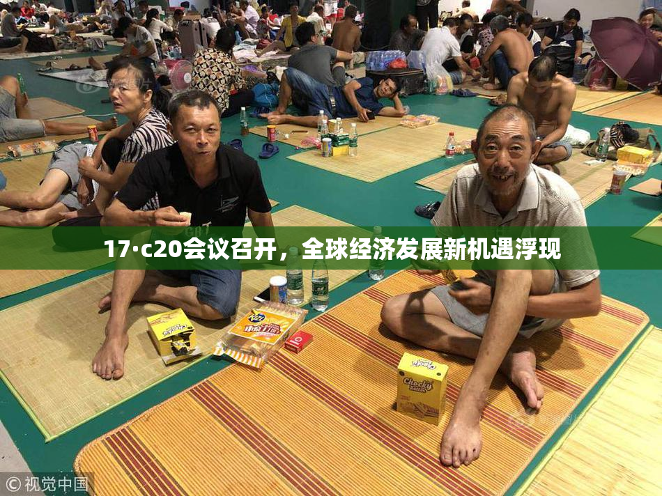 17·c20会议召开，全球经济发展新机遇浮现