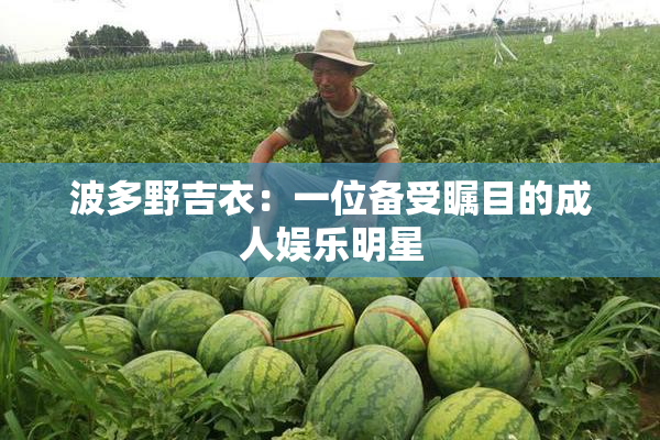 波多野吉衣：一位备受瞩目的成人娱乐明星