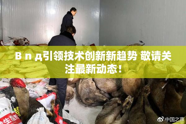 B n д引领技术创新新趋势 敬请关注最新动态！