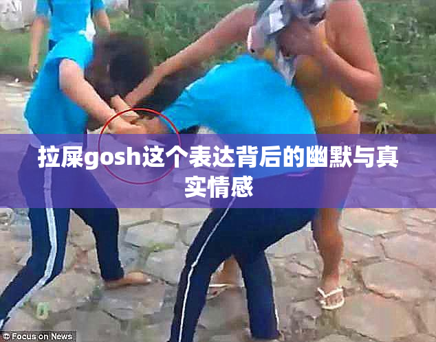 拉屎gosh这个表达背后的幽默与真实情感