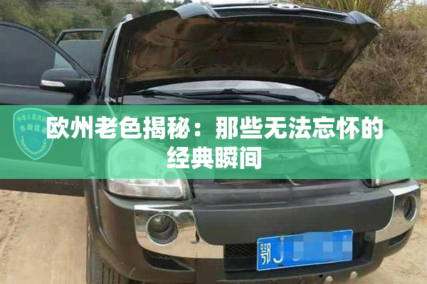 欧州老色揭秘：那些无法忘怀的经典瞬间
