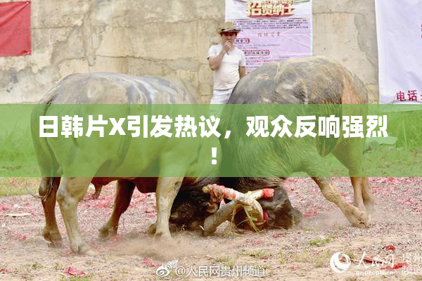 日韩片X引发热议，观众反响强烈！