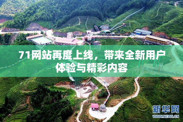 71网站再度上线，带来全新用户体验与精彩内容