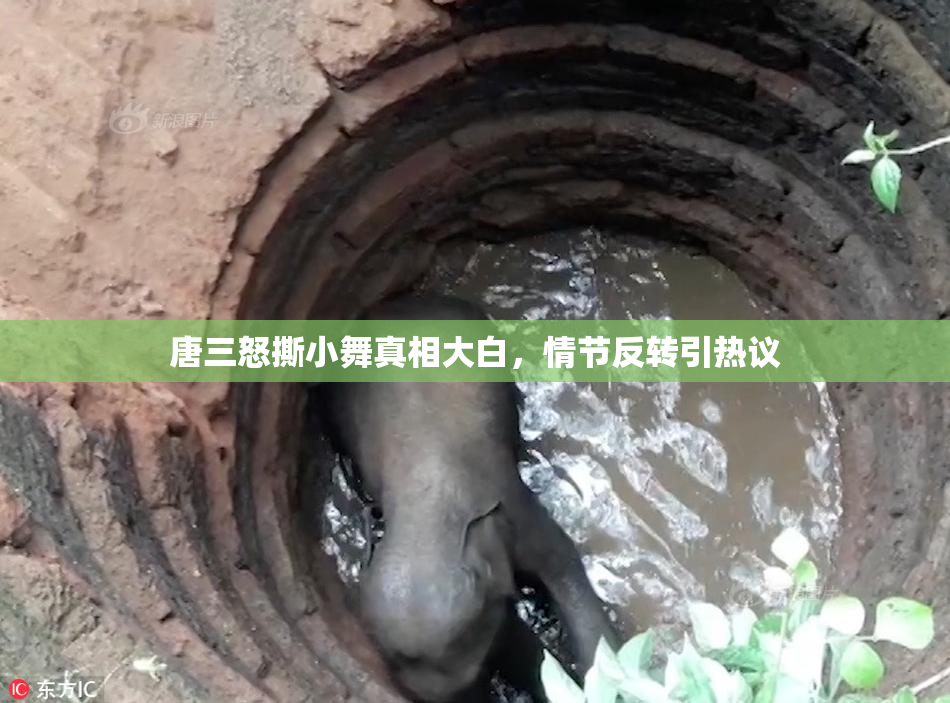 唐三怒撕小舞真相大白，情节反转引热议