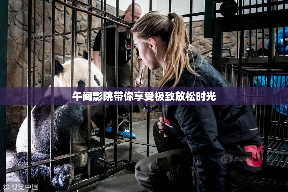 午间影院带你享受极致放松时光