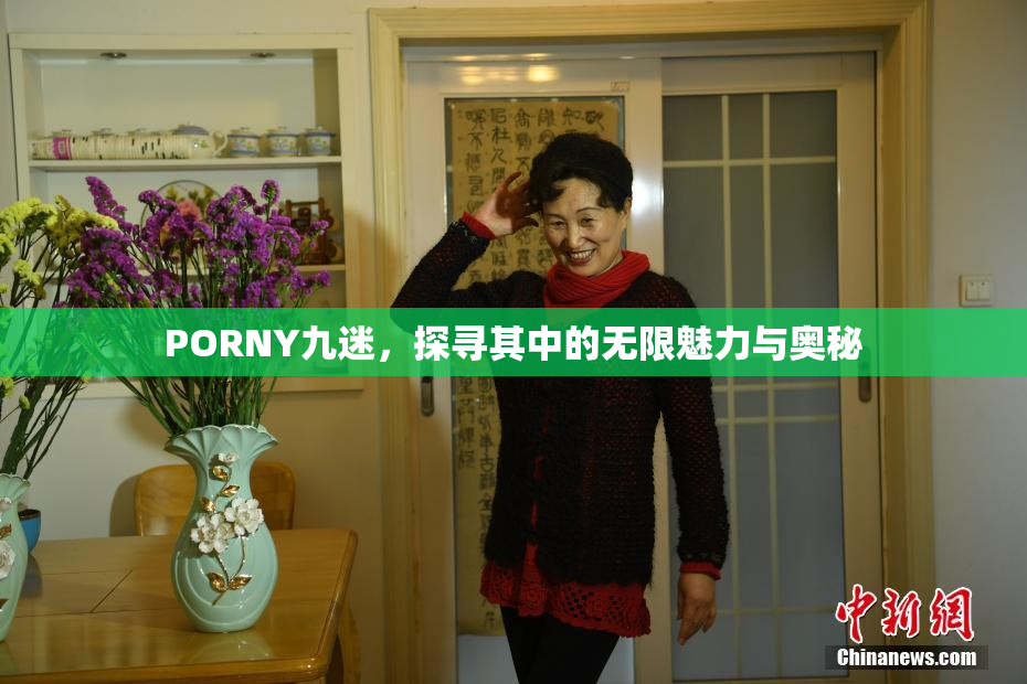 PORNY九迷，探寻其中的无限魅力与奥秘