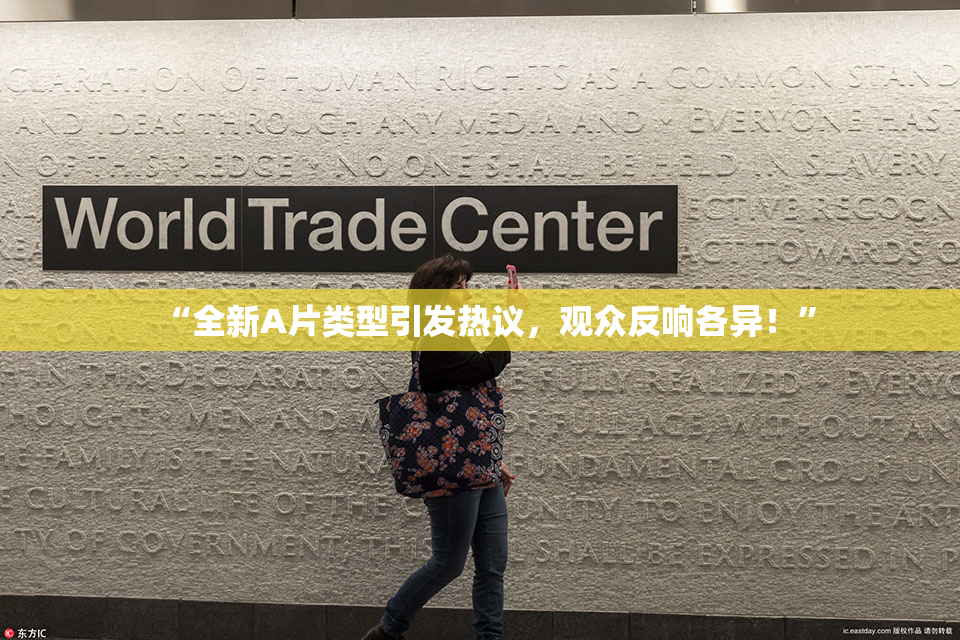 “全新A片类型引发热议，观众反响各异！”