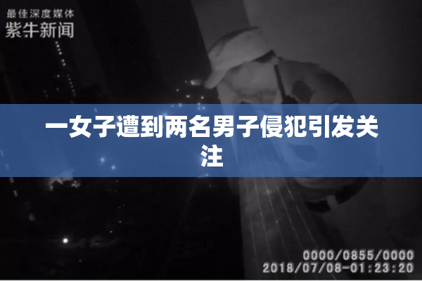 一女子遭到两名男子侵犯引发关注