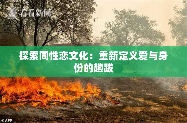 探索同性恋文化：重新定义爱与身份的趟跋