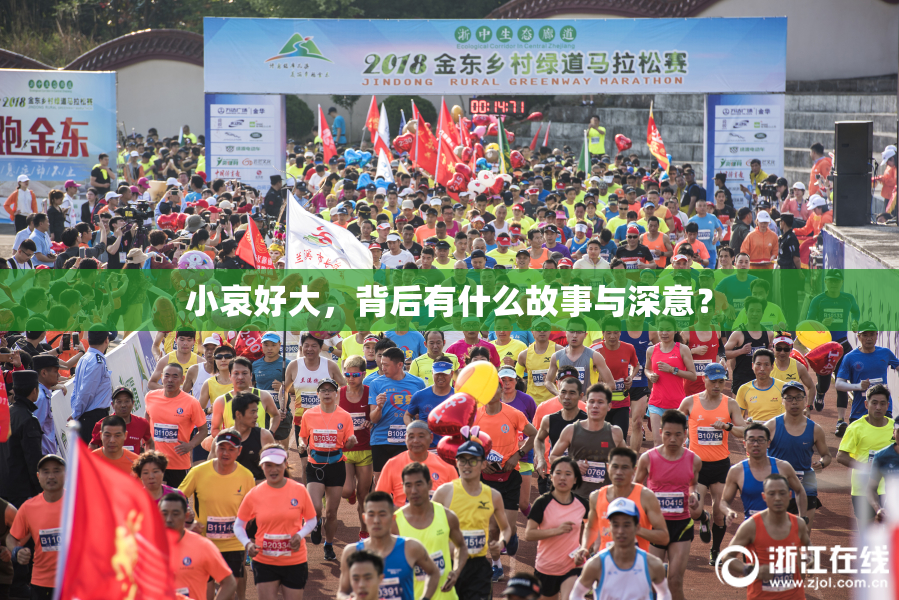 小哀好大，背后有什么故事与深意？