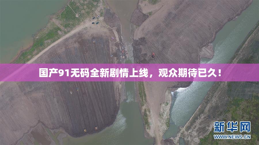 国产91无码全新剧情上线，观众期待已久！