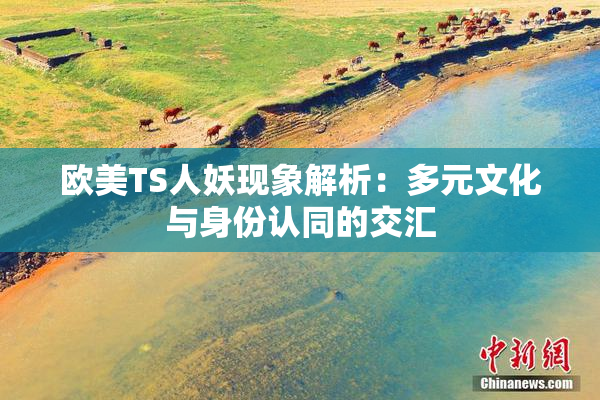 欧美TS人妖现象解析：多元文化与身份认同的交汇