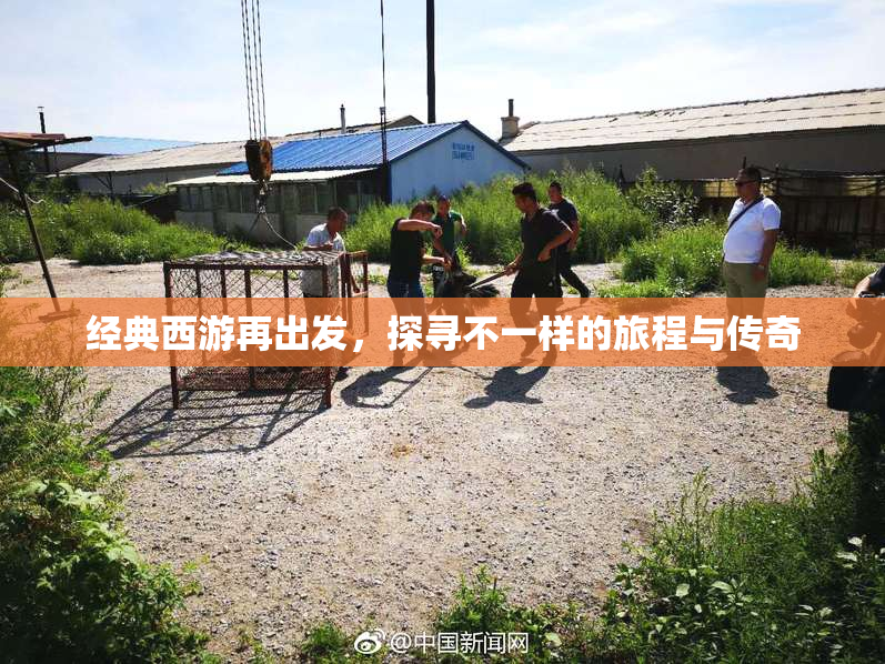 经典西游再出发，探寻不一样的旅程与传奇