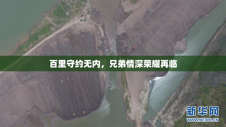 百里守约无内，兄弟情深荣耀再临