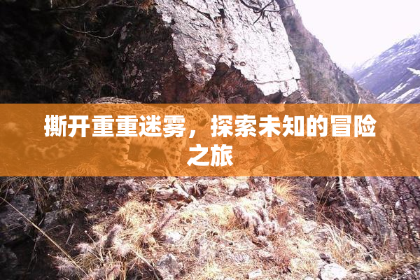撕开重重迷雾，探索未知的冒险之旅