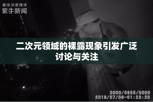 二次元领域的裸露现象引发广泛讨论与关注