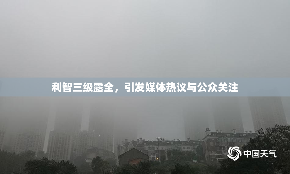 利智三级露全，引发媒体热议与公众关注