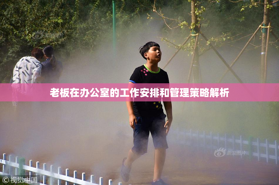 老板在办公室的工作安排和管理策略解析