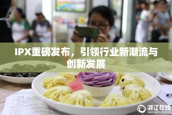 IPX重磅发布，引领行业新潮流与创新发展