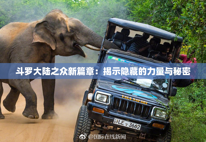 斗罗大陆之众新篇章：揭示隐藏的力量与秘密