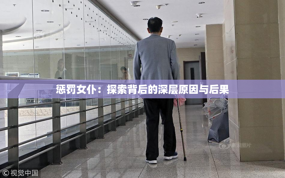 惩罚女仆：探索背后的深层原因与后果