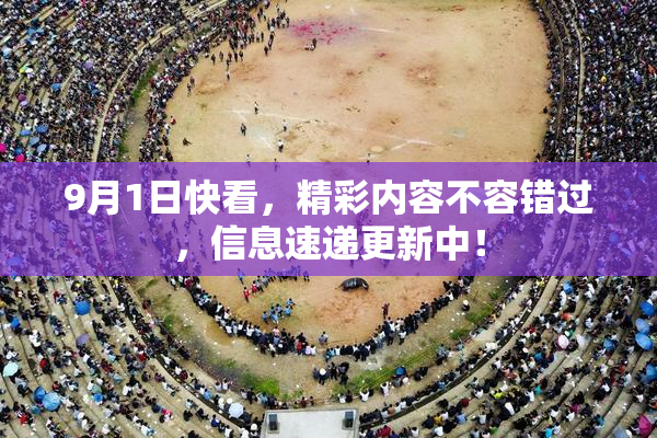 9月1日快看，精彩内容不容错过，信息速递更新中！
