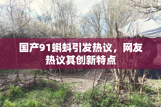 国产91蝌蚪引发热议，网友热议其创新特点