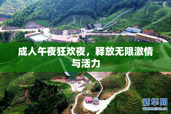 成人午夜狂欢夜，释放无限激情与活力